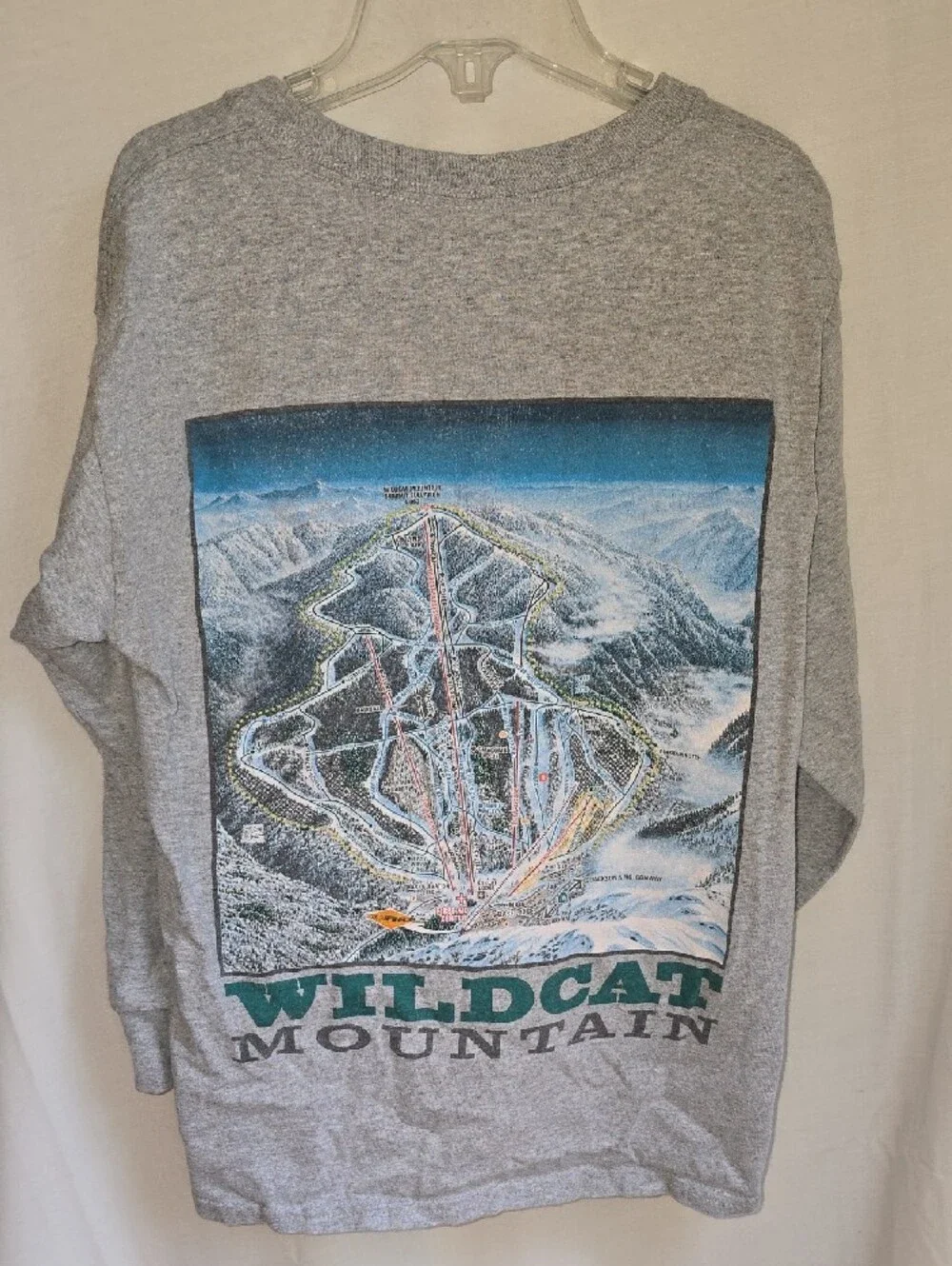 Wildcat Mountain Gray Kids T-shirt Double Sided Vintage